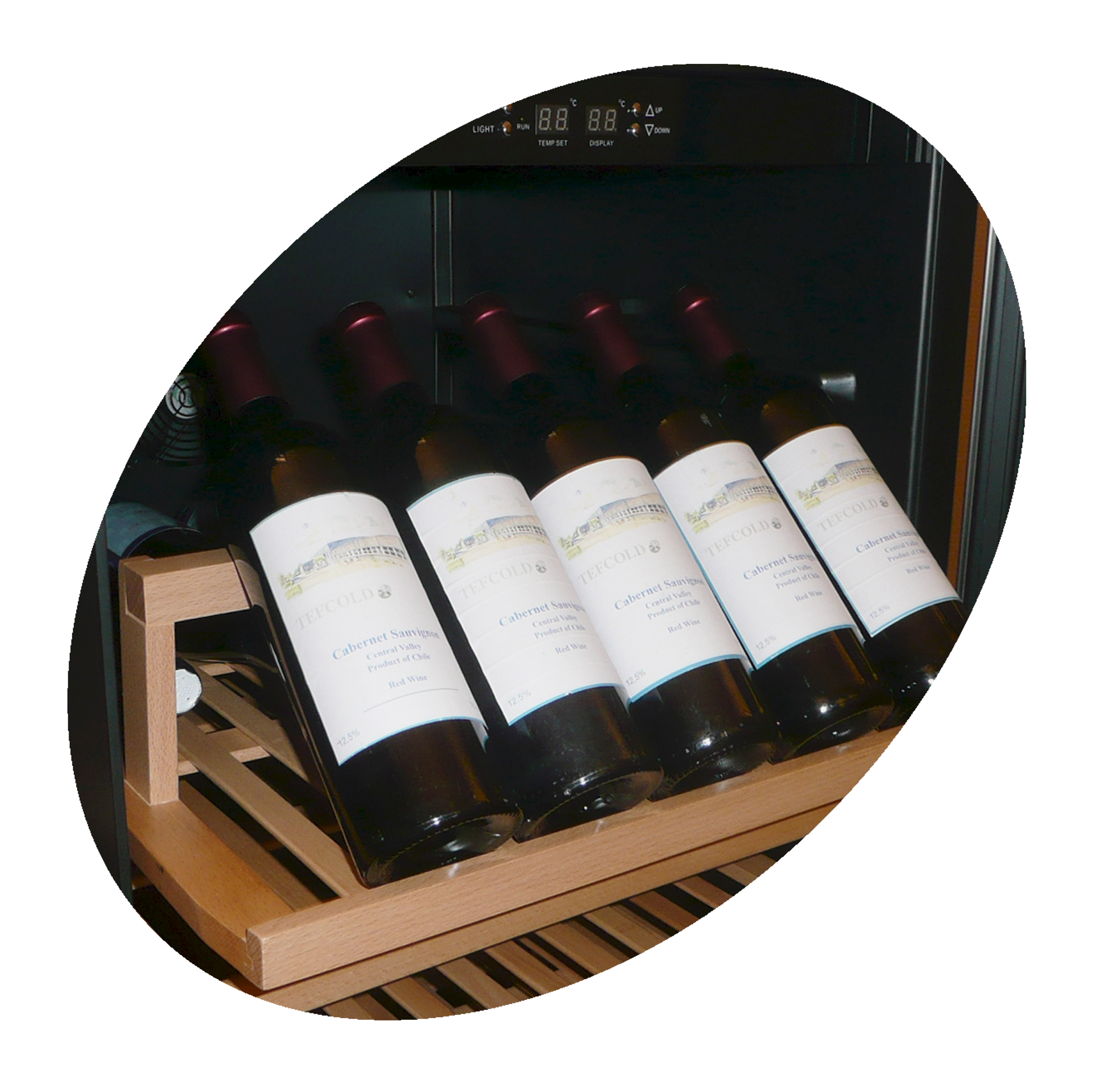 Cave à vin TEFCOLD-TFW375S