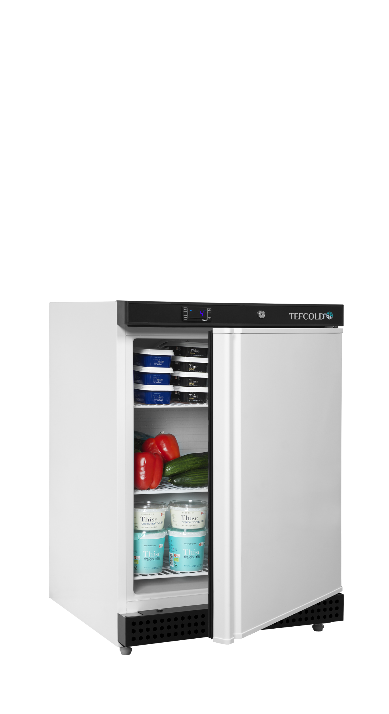 Refroidisseur de stockage TEFCOLD-UR200