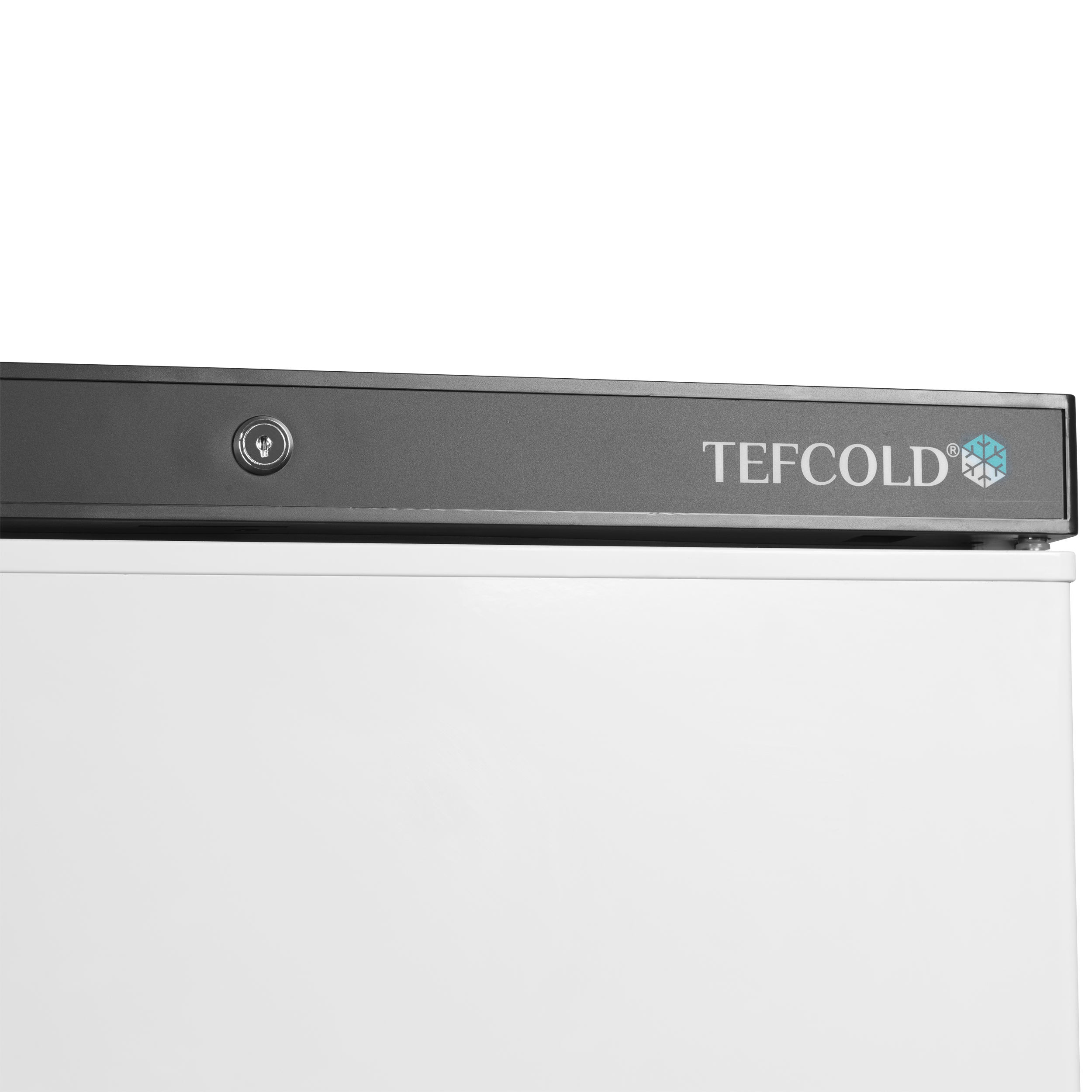Congélateurs de stockage TEFCOLD-UF400