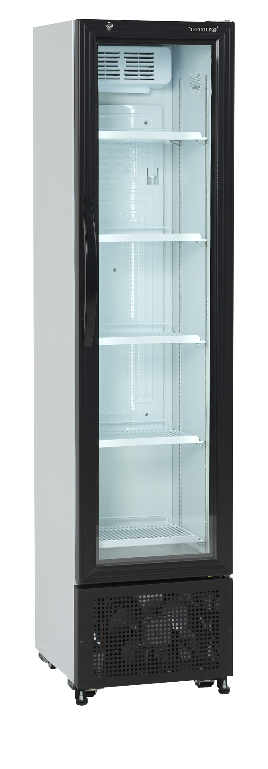 Armoire à boissons  TEFCOLD-FS176H