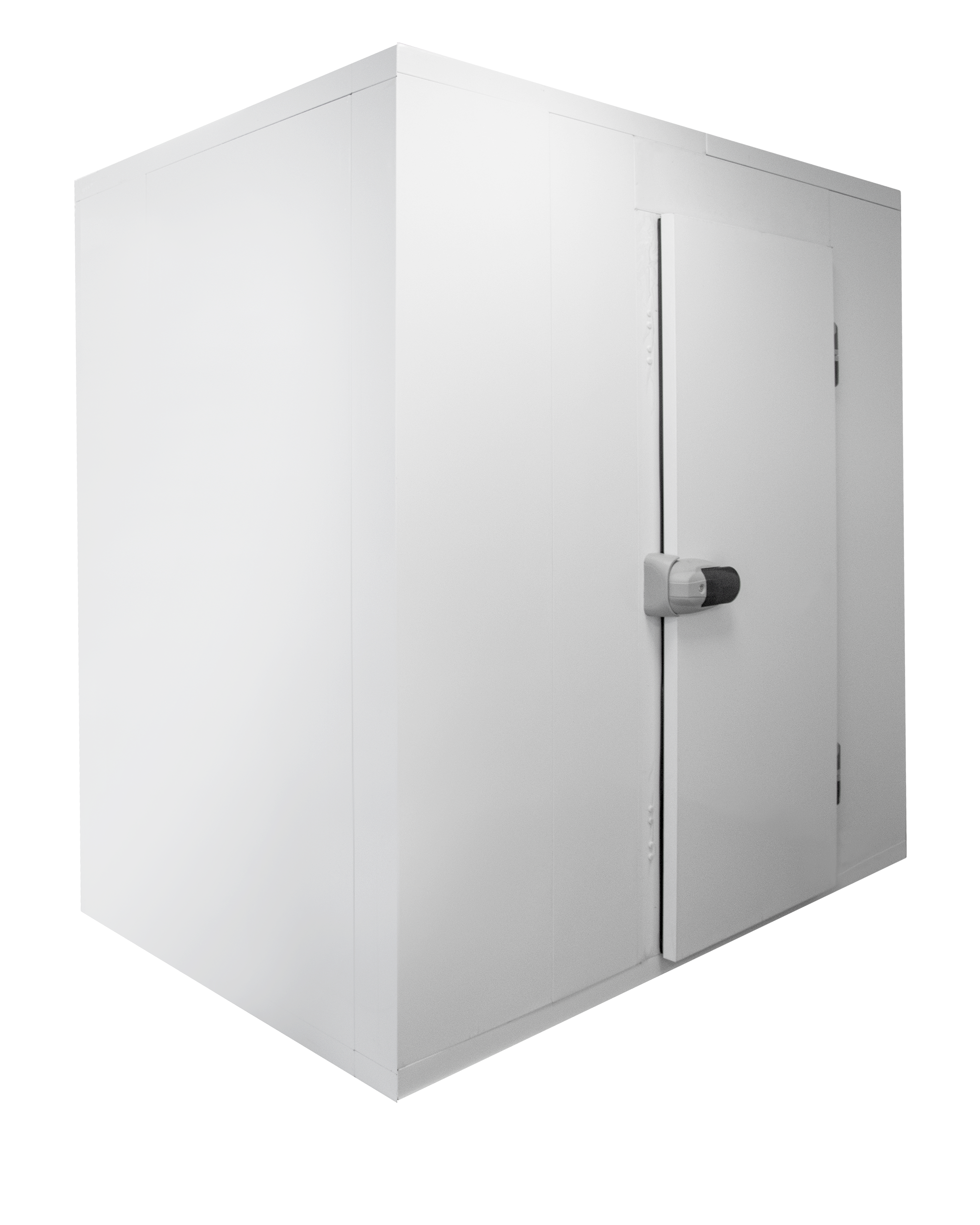 Panneaux de chambre froide 120 mm TEFCOLD-CR 240x270x220 WD