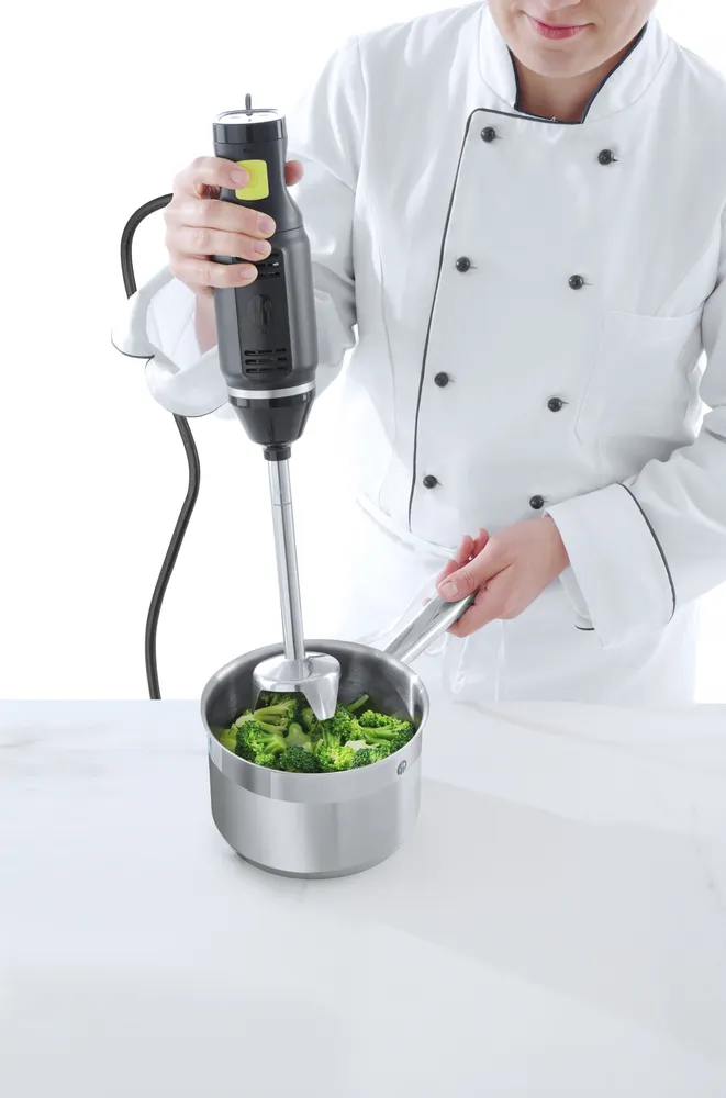 Mixeur plongeur HENDI BLEND HENDI 222157