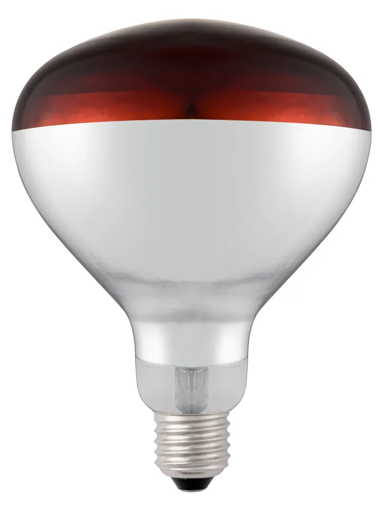 Ampoule infrarouge chauffante, HENDI, Rouge, 230V/250W, ⌀125x(H)170mm