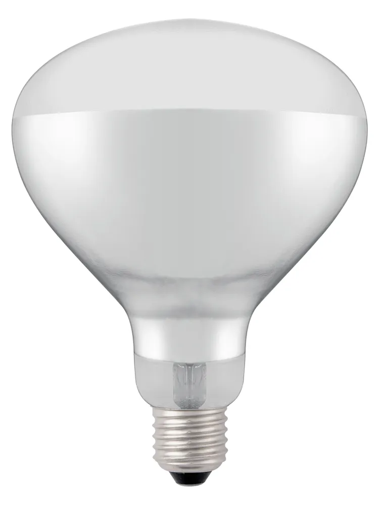 Ampoule infrarouge chauffante, HENDI, Blanc, 230V/250W, ⌀125x(H)170mm